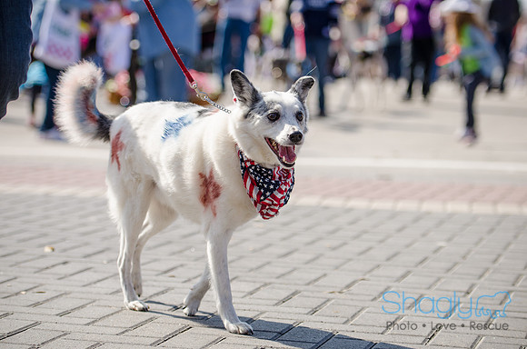 Krewe of Barkus 2012-185
