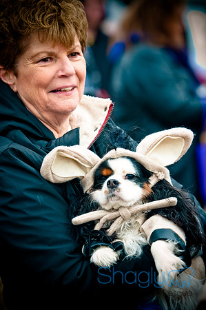 Krewe of Barkus-97