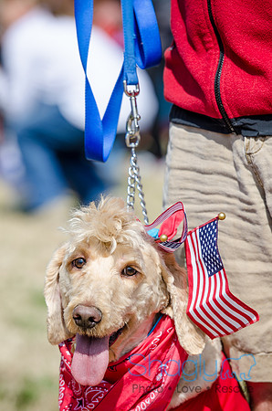 Krewe of Barkus 2012-94