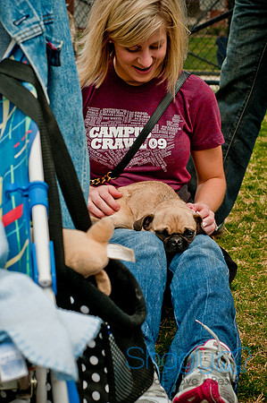 Pug Love Fun Run-206