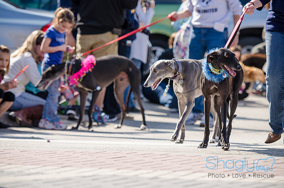 Krewe of Barkus 2012-187