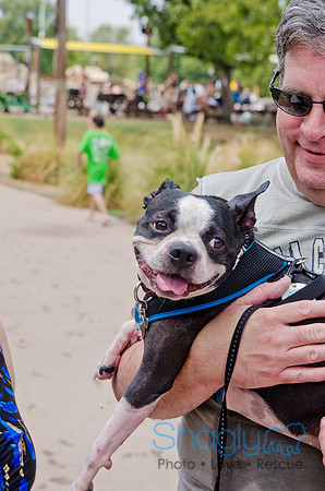 Wags and Waves 2011-296