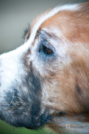 St.Clouds Rescue-0486