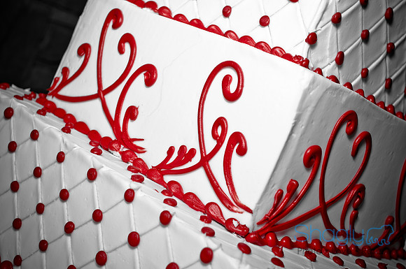 Talia and Ramon Wedding-271