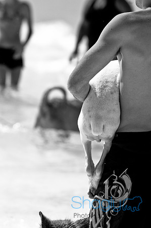 Wags and Waves-152