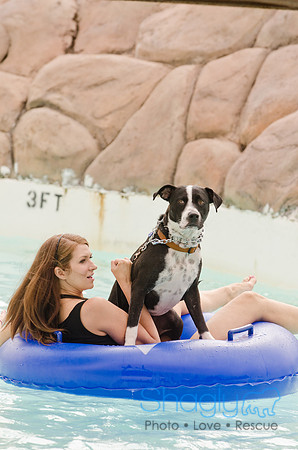 Wags and Waves 2011-97
