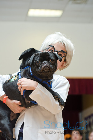 PugOween-36