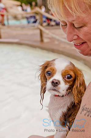 Wags and Waves 2011-217