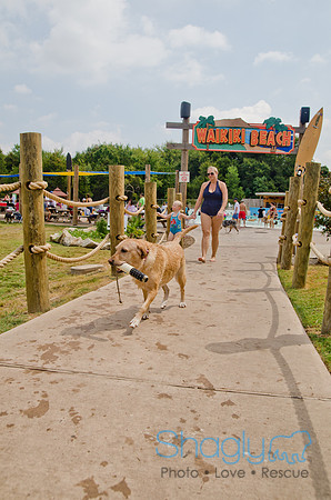 Wags and Waves 2011-359