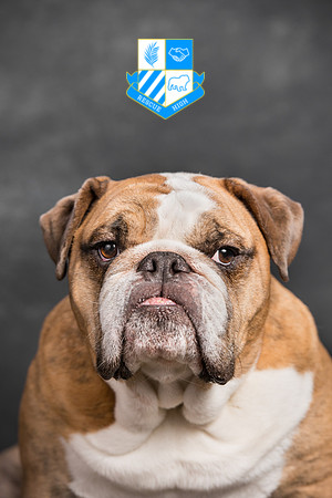 Pumba Nardecchia