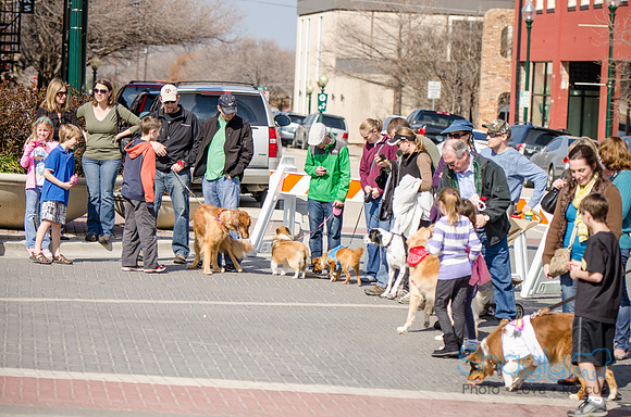 Krewe of Barkus 2012-273
