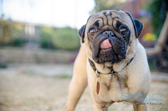 Eli and Cee Lo-14
