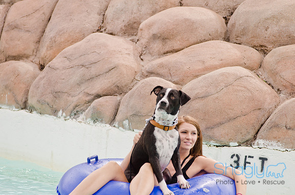 Wags and Waves 2011-114
