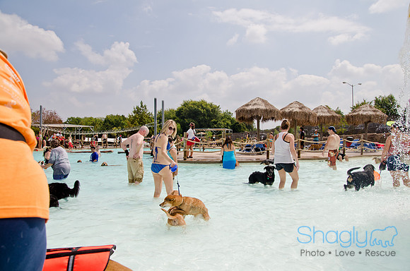 Wags and Waves 2011-204