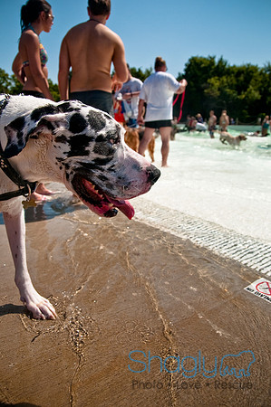 Wags and Waves-287