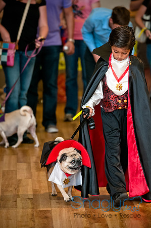 PugOWeen-2