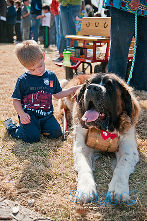 Krewe of Barkus 2011-161