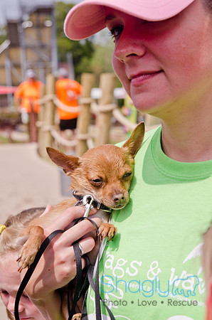 Wags and Waves 2011-389