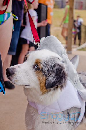 Wags and Waves 2011-406