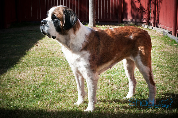 St.Clouds Rescue-2547