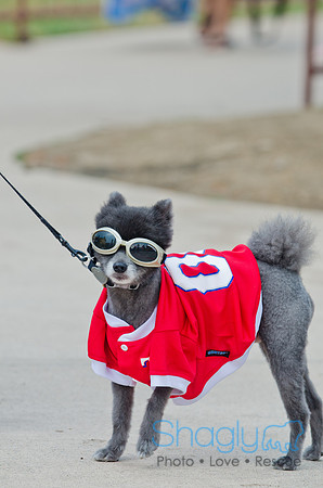 Wags and Waves 2011-72