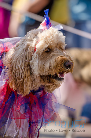 Krewe of Barkus 2012-191