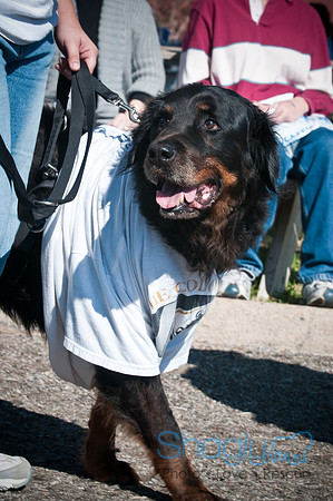 Richardson Pet Day-0235