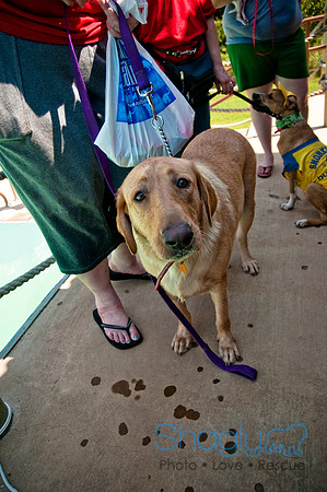 Wags and Waves-317