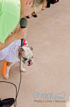 Wags and Waves 2011-397