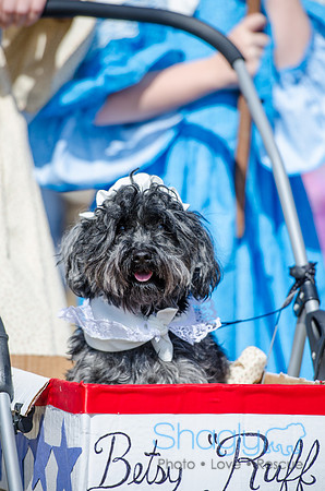Krewe of Barkus 2012-43