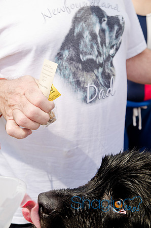 Wags and Waves 2011-358