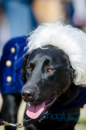 Krewe of Barkus 2012-96