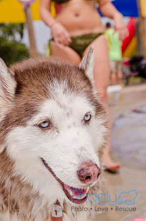Wags and Waves 2011-282
