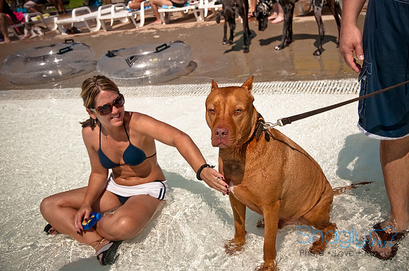 Wags and Waves-292