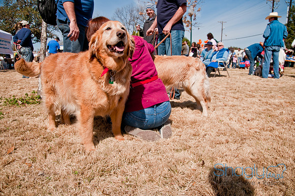 Krewe of Barkus 2011-37