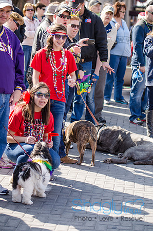 Krewe of Barkus 2012-281