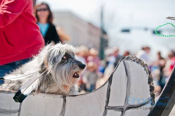 Krewe of Barkus 2011-104