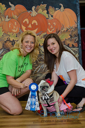 PugOween-173