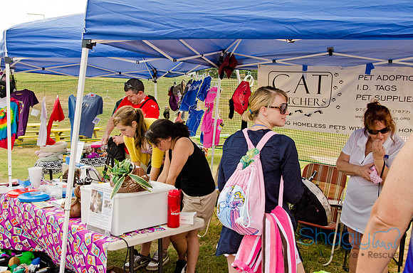 Wags and Waves 2011-194