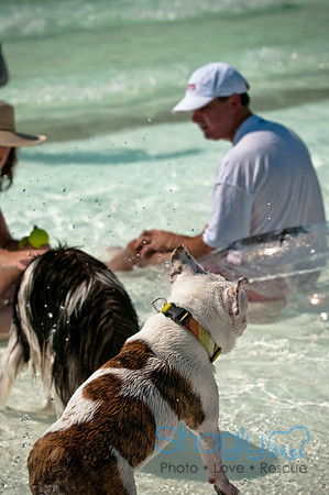 Wags and Waves-165