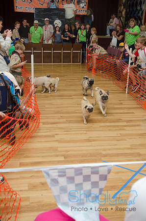 PugOween-8