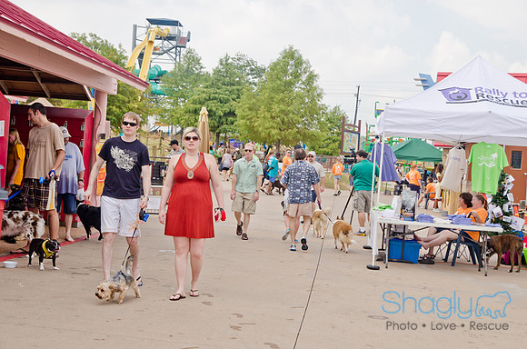 Wags and Waves 2011-378