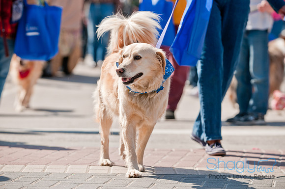 Krewe of Barkus 2011-132