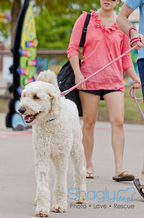 Wags and Waves 2011-69