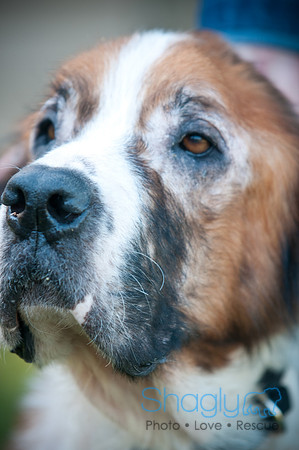St.Clouds Rescue-0484