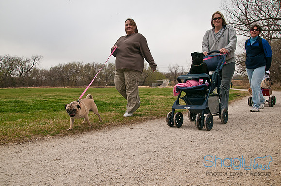 Pug Love Fun Run