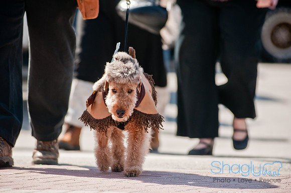 Krewe of Barkus 2011-85
