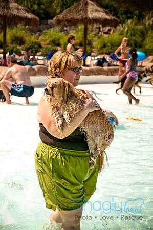 Wags and Waves-260