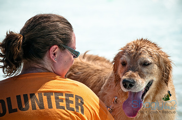 Wags and Waves-157