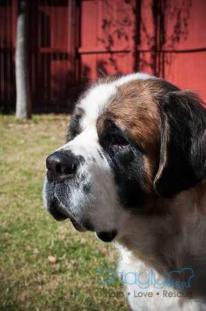St.Clouds Rescue-2541
